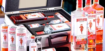 Dárkové ALU Kufry s ginem