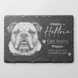 Tabulka Pozor Pes Břidlice Anglický Buldok