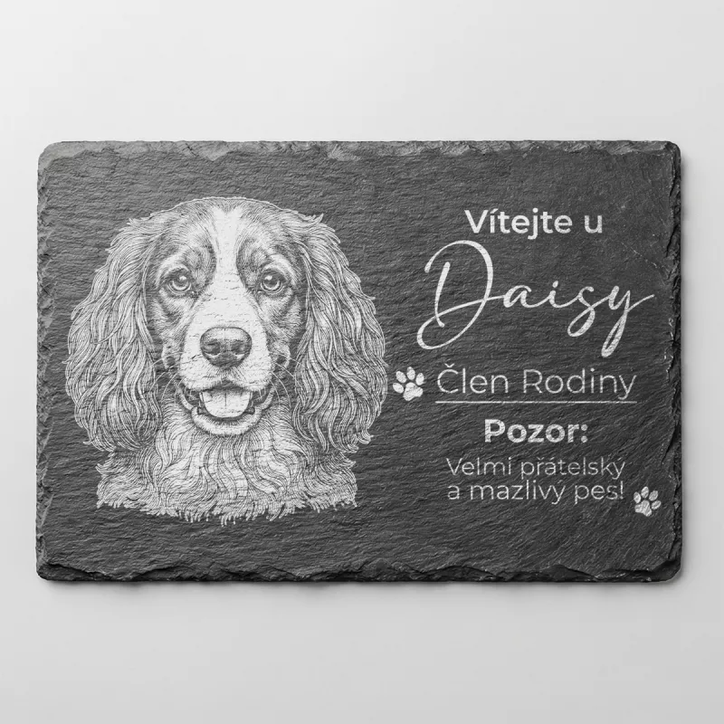 Tabulka Pozor Pes Břidlice Anglický Kokršpaněl