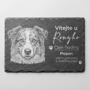 Tabulka Pozor Pes Břidlice Australský Ovčák