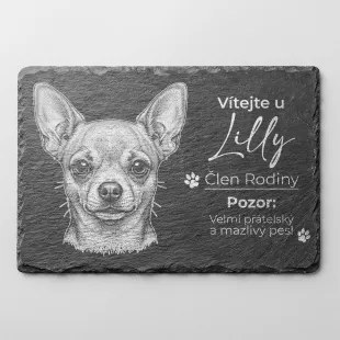 Tabulka Pozor Pes Břidlice Čivava