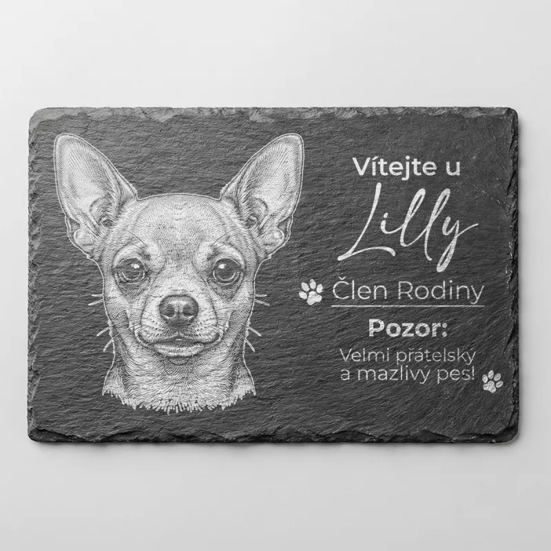 Tabulka Pozor Pes Břidlice Čivava