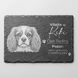 Tabulka Pozor Pes Břidlice Kavalír King Charles Španěl