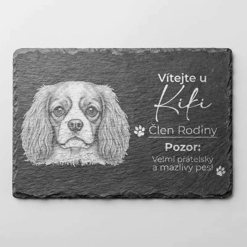 Tabulka Pozor Pes Břidlice Kavalír King Charles Španěl
