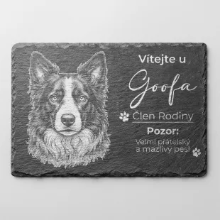 Tabulka Pozor Pes Břidlice Border Kolie