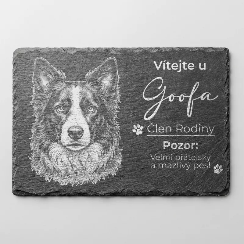 Tabulka Pozor Pes Břidlice Border Kolie