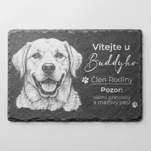 Tabulka Pozor Pes Břidlice Labradorský Retrívr