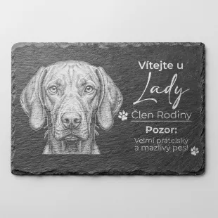 Tabulka Pozor Pes Břidlice Maďarský Ohař