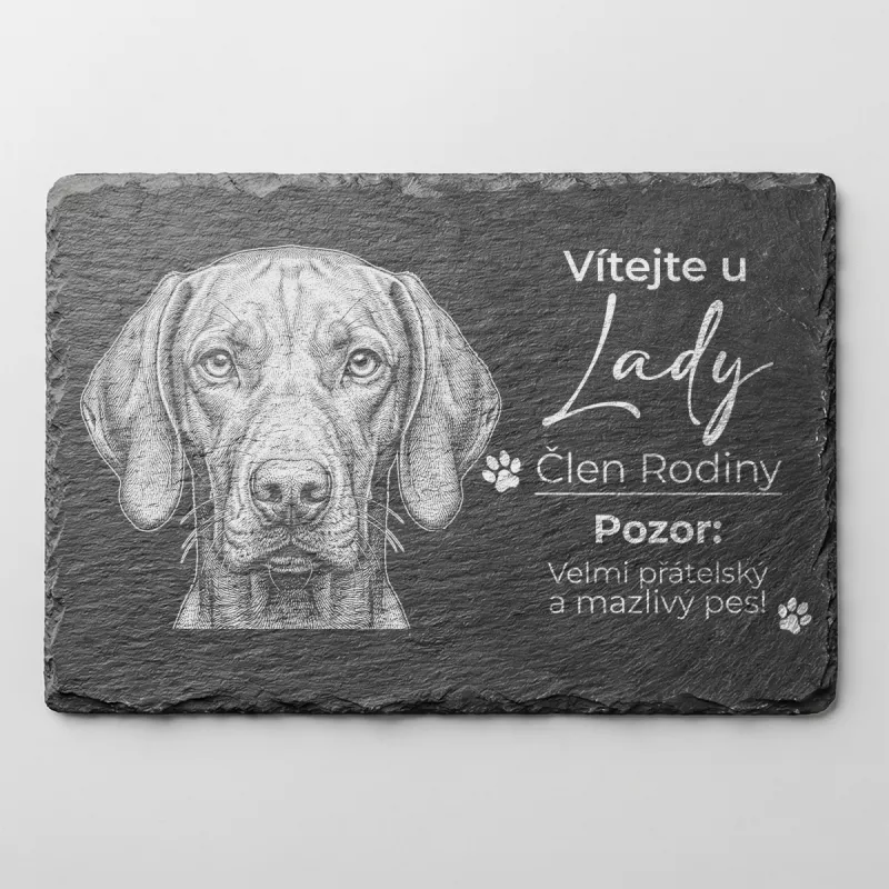 Tabulka Pozor Pes Břidlice Maďarský Ohař