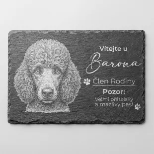 Tabulka Pozor Pes Břidlice Pudl Královský