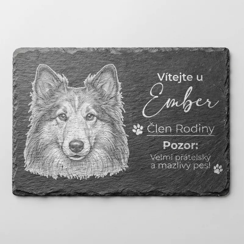 Tabulka Pozor Pes Břidlice Shetlandský Ovčák