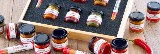 D&aacute;rkov&eacute; chilli kořen&iacute;